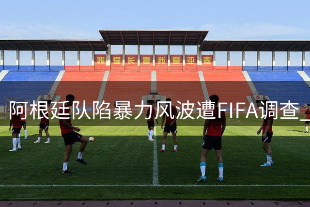 阿根廷队陷暴力风波遭FIFA调查 世界杯决赛冲突恐引发全球禁赛